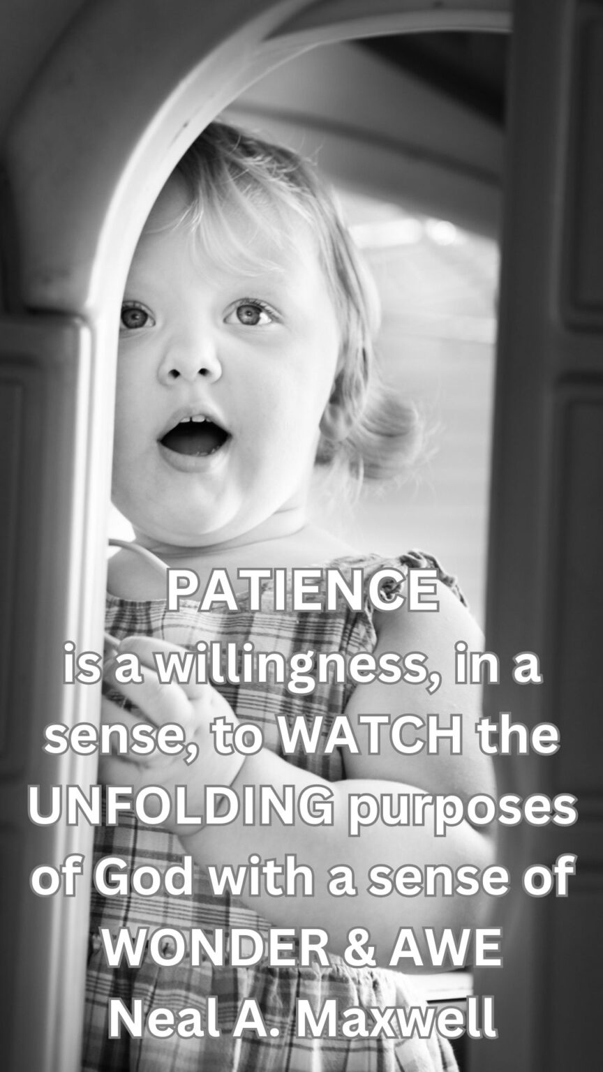 the-5-best-quotes-for-mom-s-thedelightfulpress
